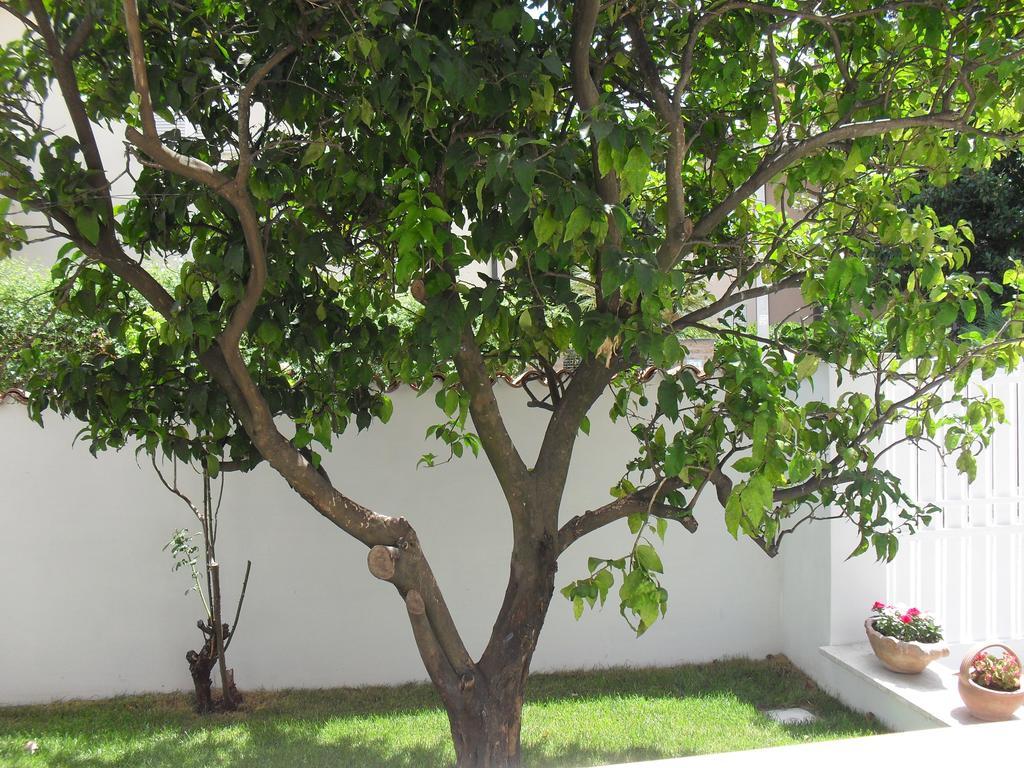 Casa Santolina B&B โรม ภายนอก รูปภาพ